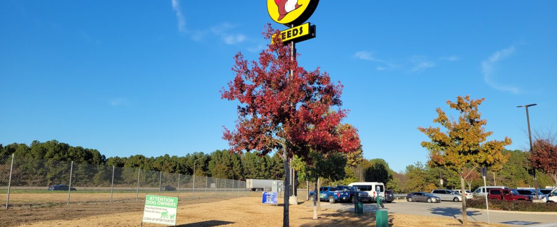 South Carolina Already Has One Buc-ee’s, But 2 More Are Quietly in the Works