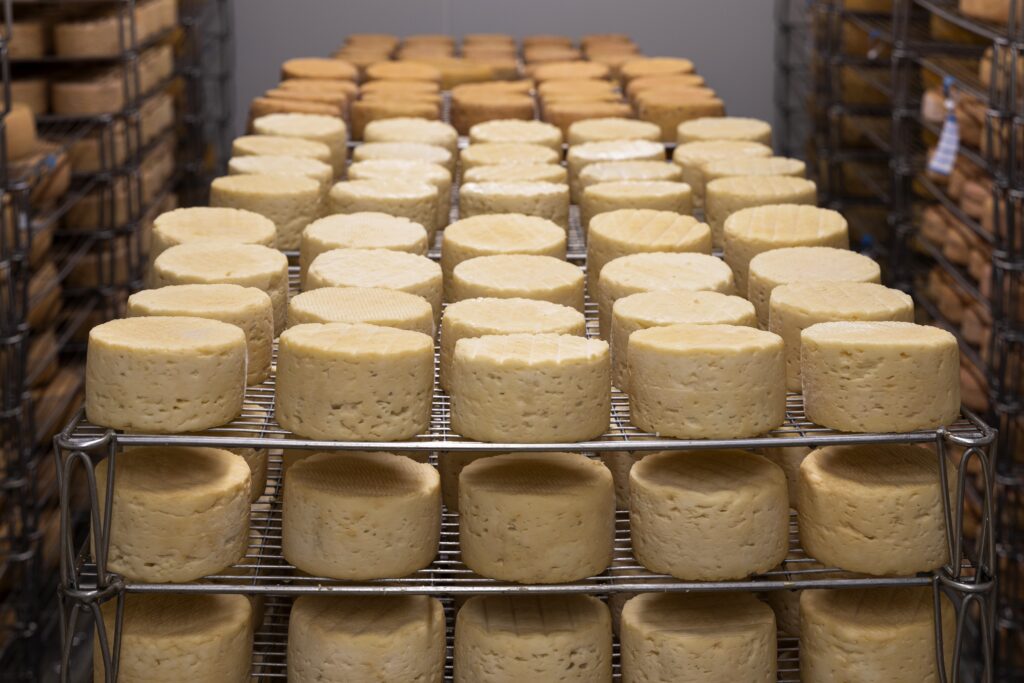 anthonyarnaud-cheese-5125021