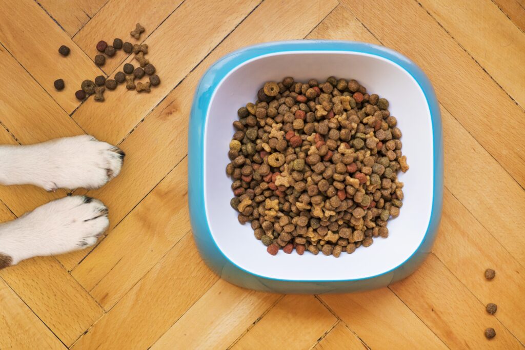 mattycoulton-dry-dog-food-5198627